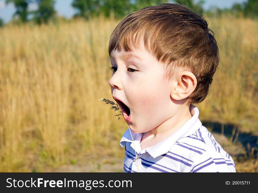 The kid walks through a meadow with a sprig of grass