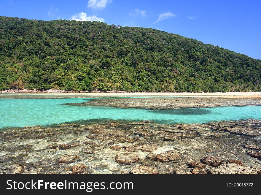 Shallow coral at Moo koh surin nation park in thailand