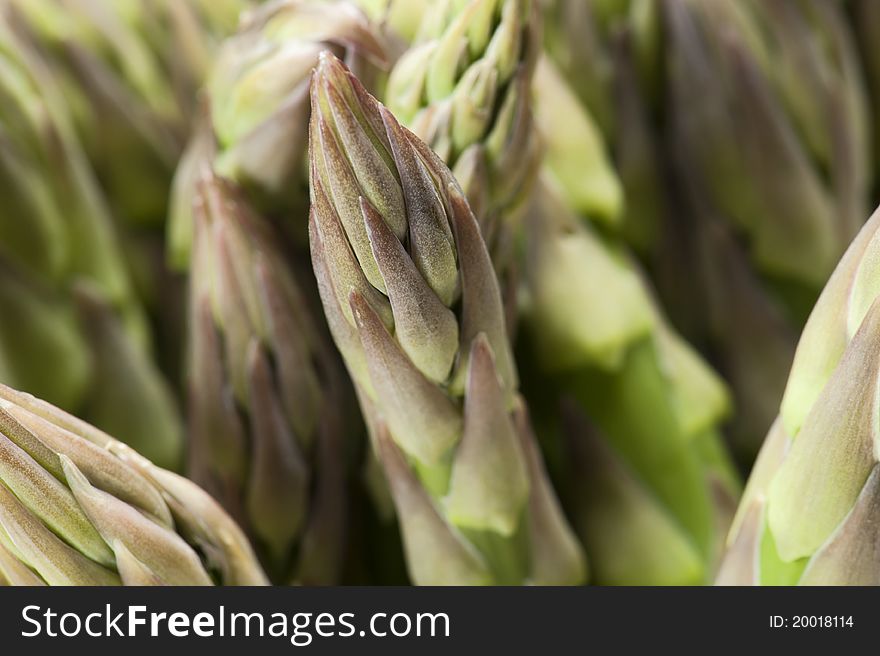 Asparagus spikes, close-up of spike.