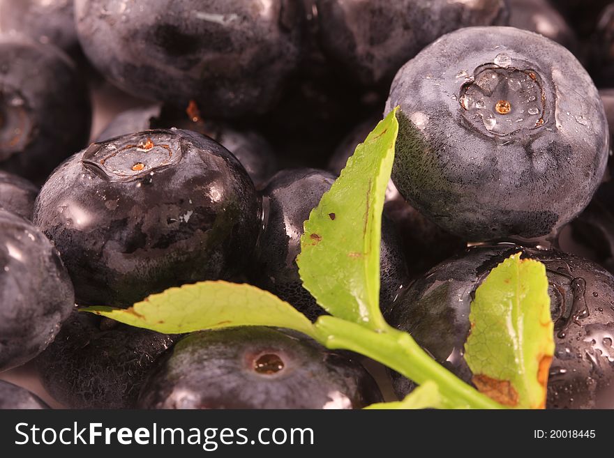 Some fresh blueberries with water drops. Some fresh blueberries with water drops