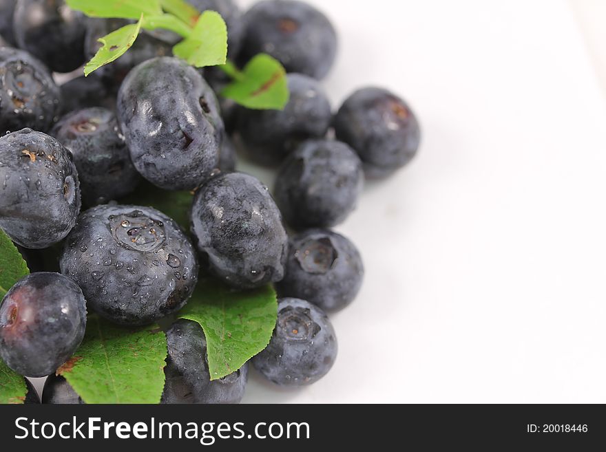 Some fresh blueberries cut free. Some fresh blueberries cut free