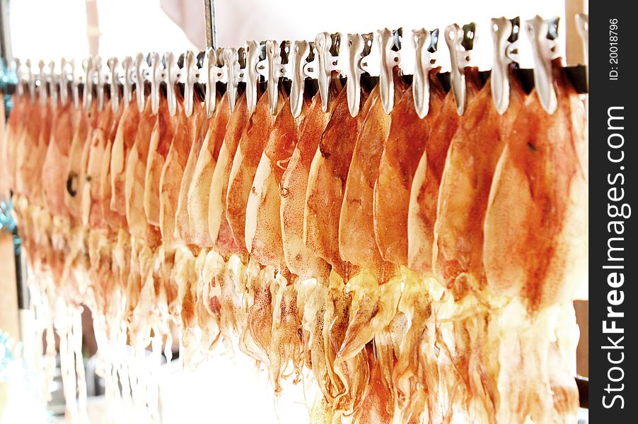 Dried Squid  In Thailand