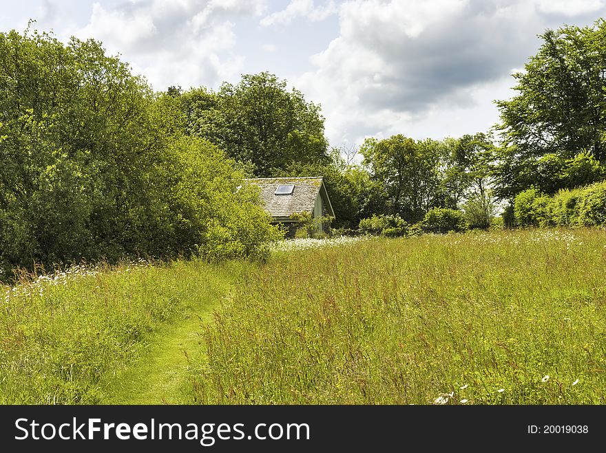 Hay Meadow And Secluded Barn