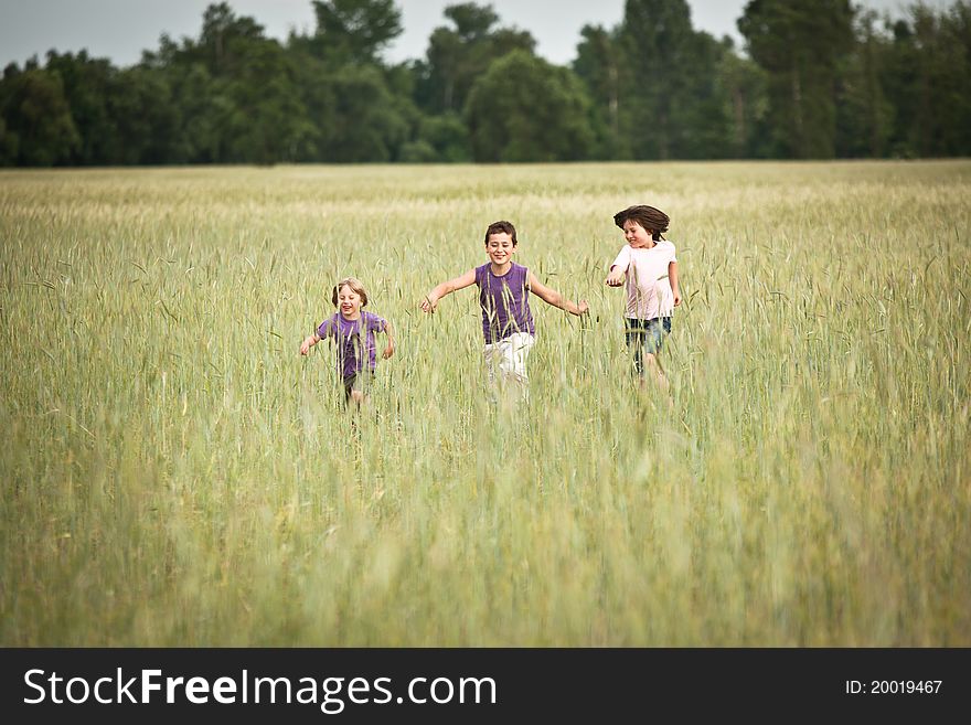Tree little boy runnig thrue a meadow, field, in summertime. Tree little boy runnig thrue a meadow, field, in summertime.