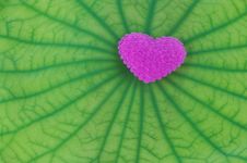Pink Heart Royalty Free Stock Photography Pink Heart Royalty Free Stock Photography