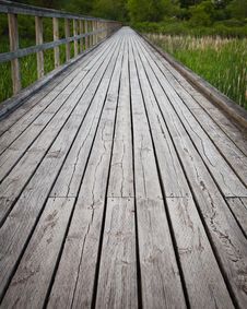 Wooden Pathway Through Marsh Royalty Free Stock Images