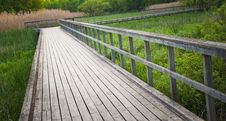 Wooden Pathway Through Marsh Stock Images