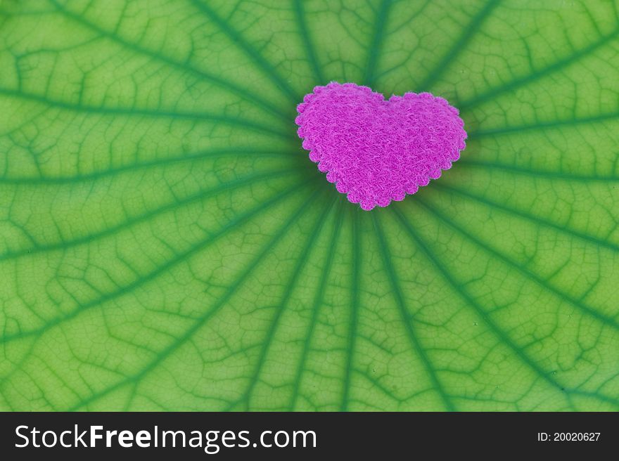 Pink heart on a green leaf