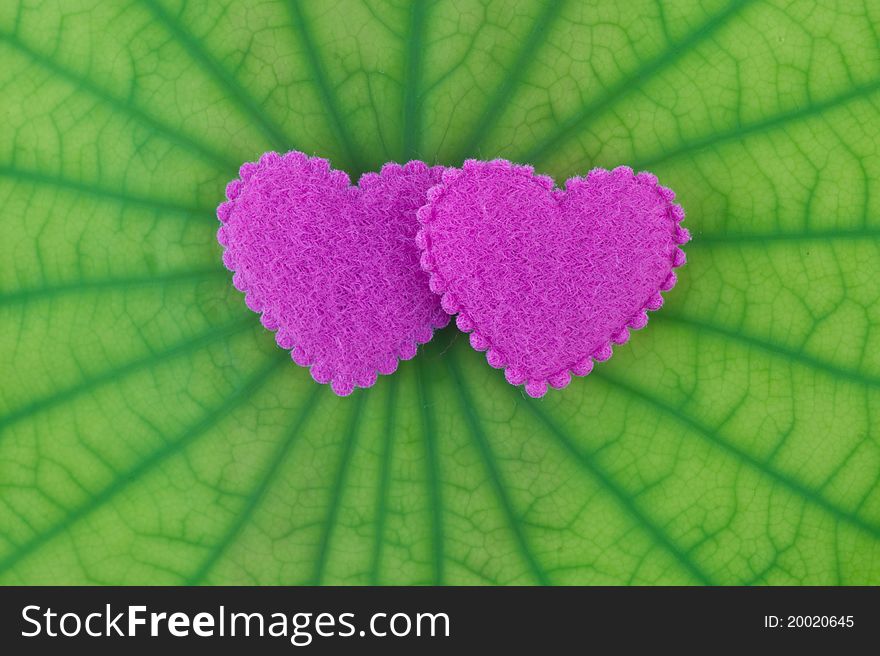 Pink heart on a green leaf