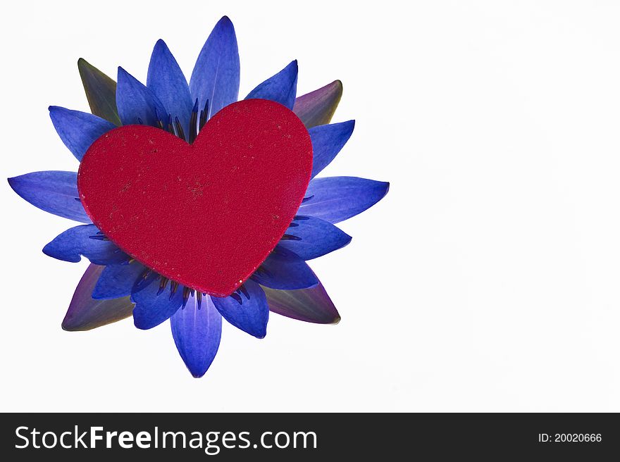 Red heart on flower isolated on white