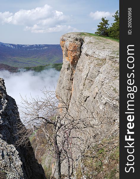 The Crimean Mountains are photographed from peak of Demirji. The solitary bare tree is in the cleft between two sheer cliffs.