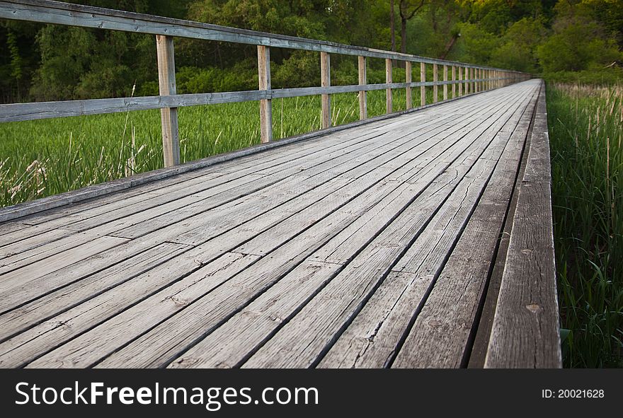 Wooden pathway running through marsh, wooden railing. Wooden pathway running through marsh, wooden railing.