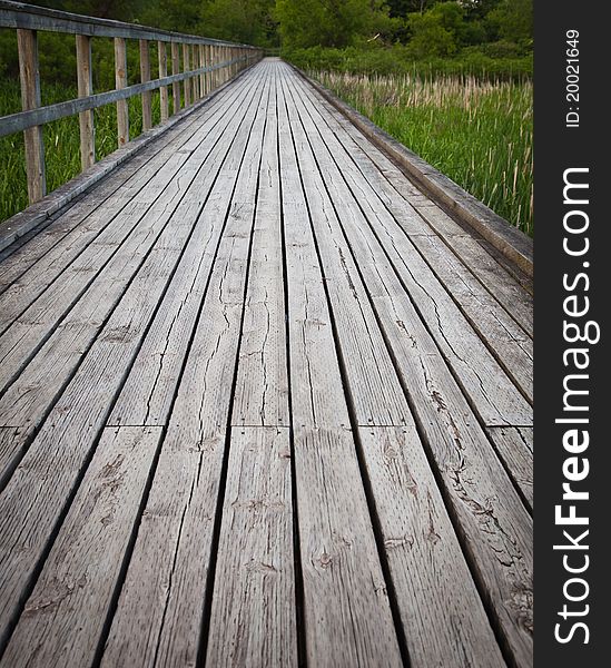 Wooden Pathway Through Marsh