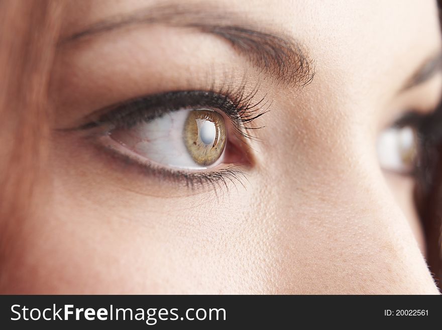 Close up of womans brown eye with false eye lashes. Close up of womans brown eye with false eye lashes