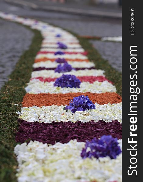 Rug made of flowers for a catholic procession. Rug made of flowers for a catholic procession