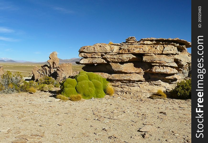 Valle de Rocas - a colorful valley on the Altiplano, Bolivia with the rocky outcrops of unusual forms. Valle de Rocas - a colorful valley on the Altiplano, Bolivia with the rocky outcrops of unusual forms.