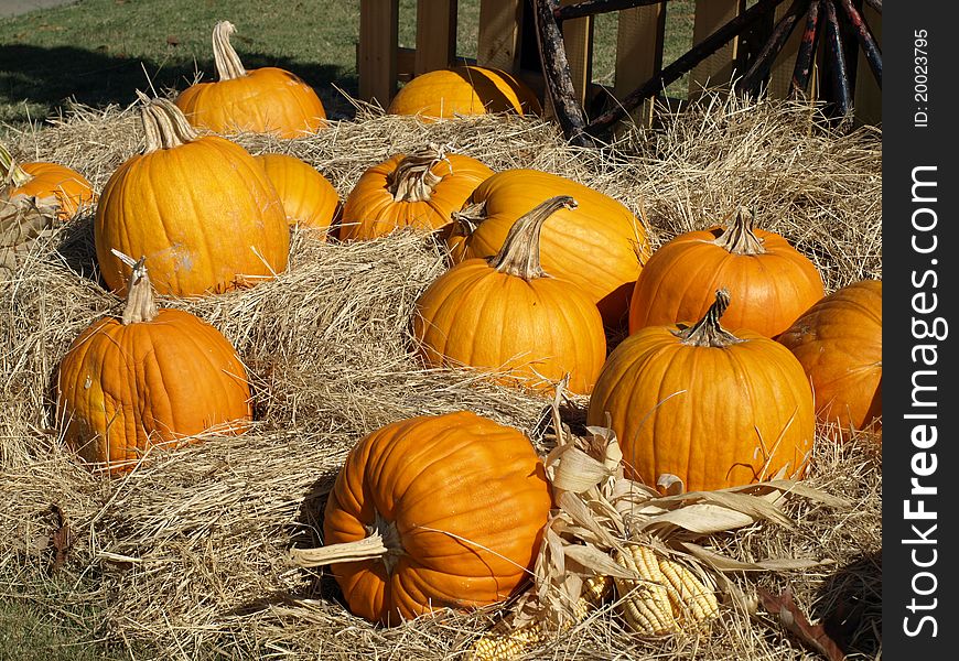Pumpkins in hay waiting to be decorated for Halloween. Pumpkins in hay waiting to be decorated for Halloween.