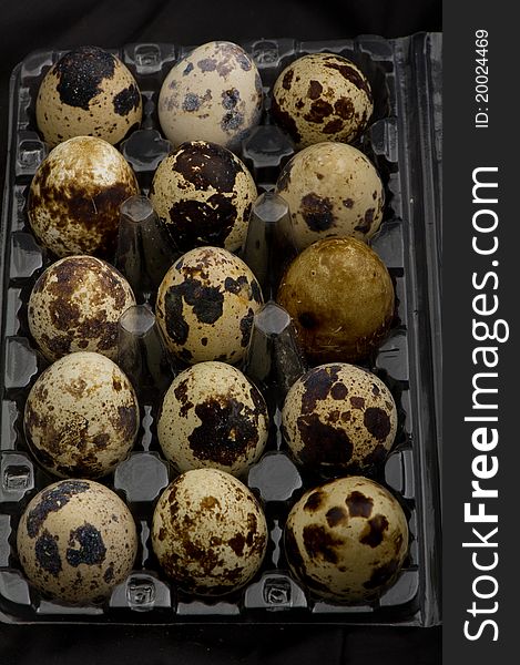 Fifteen of quail eggs in plastic pack, on black background.