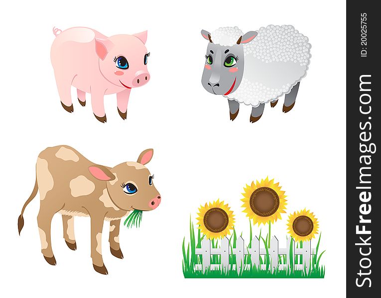 Farm Animals