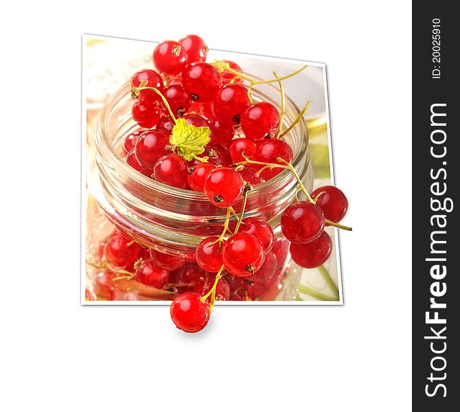 Red Currants looks like a 3d Illustration