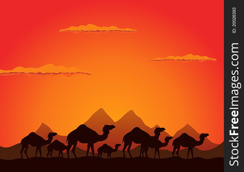 Caravan of camels go on deserts. A vector illustration