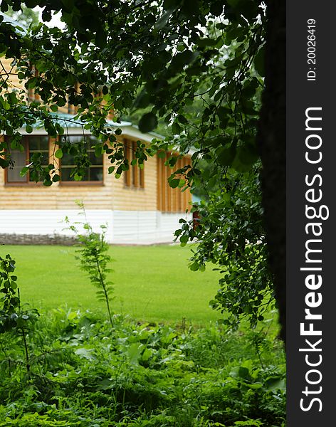 A view onto the wooden house and the lawn from the  shadow of trees. A view onto the wooden house and the lawn from the  shadow of trees