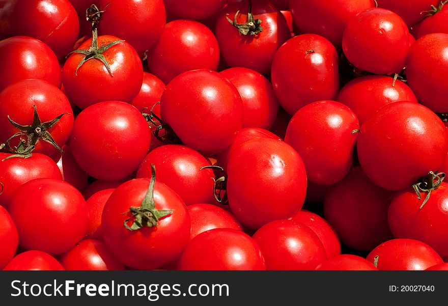 Multitude Of Tomatoes
