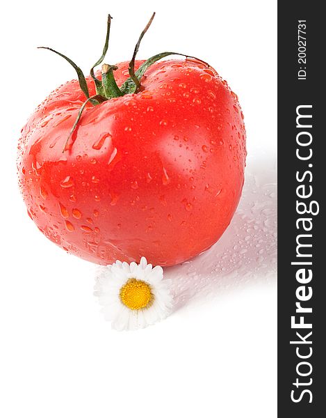 Fresh tomato and flowers isolated on a white background