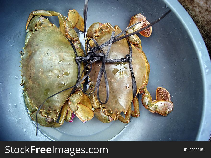 Two large crab, sold on the market.