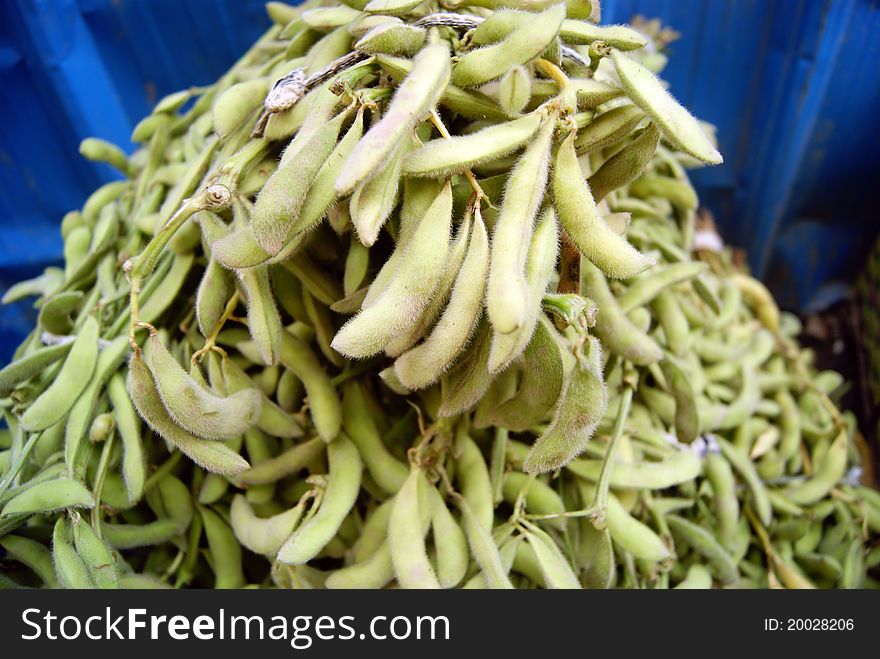This string beans, piling up together, sale. It is people like to eat vegetables one.