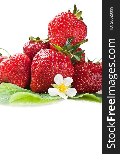 Fresh strawberry on a green leaf isolated on a white background