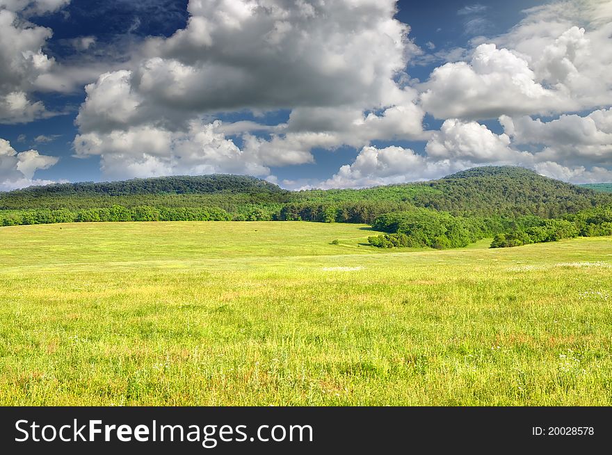 Big green meadow. Nature composition.