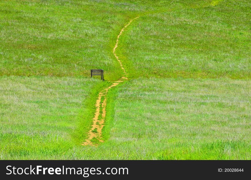 Path In A Green Field