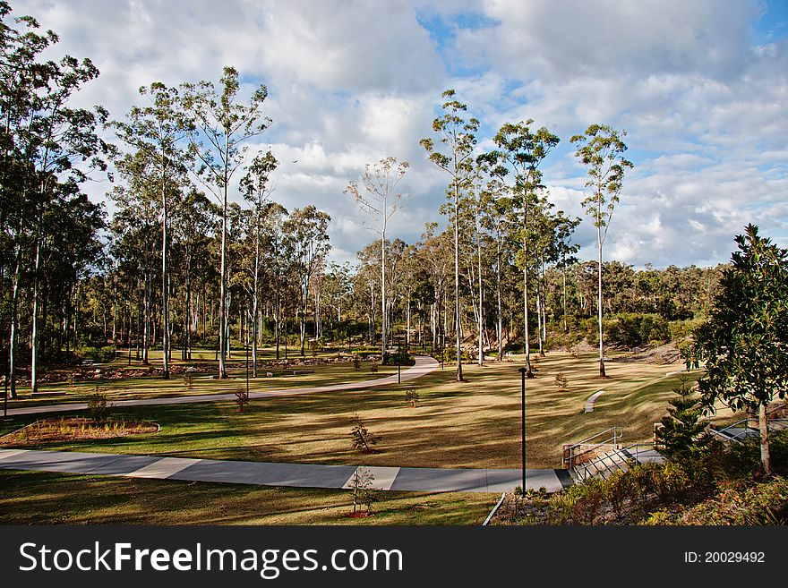 A native parkland in Queensland, Australia with walkways meandering through strands of Eucalyptus trees. A native parkland in Queensland, Australia with walkways meandering through strands of Eucalyptus trees