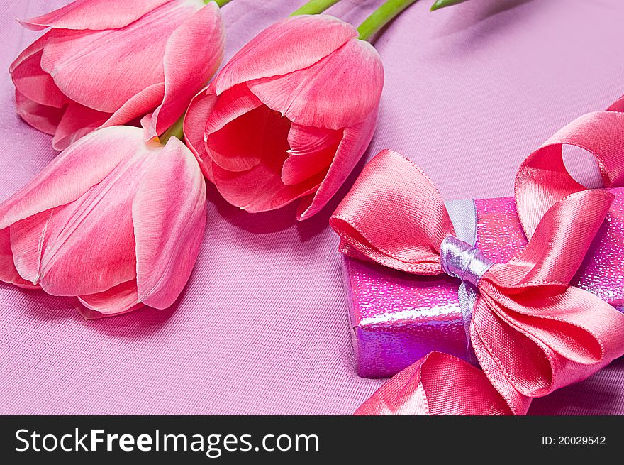 Tulips and gift box with ribbon on pink