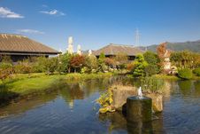 View On Japanese Pond Royalty Free Stock Image View On Japanese Pond Royalty Free Stock Image