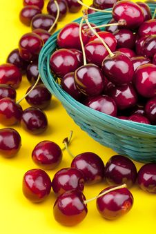 Fresh Picked Organic Cherries Stock Photo Fresh Picked Organic Cherries Stock Photo