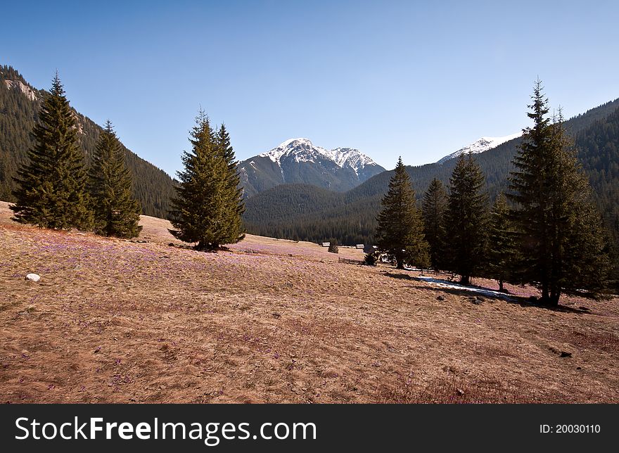 Beautiful view of  glade with majestic mountain in the background. Tatra Mountains, Poland. Beautiful view of  glade with majestic mountain in the background. Tatra Mountains, Poland.