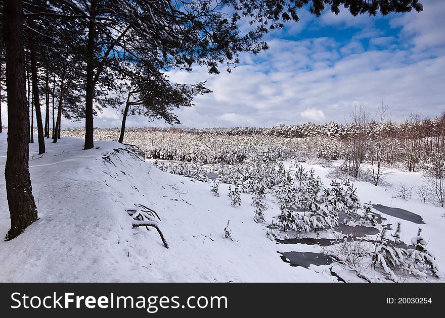 Wonderful winter day with trees covered with snow. Wonderful winter day with trees covered with snow.