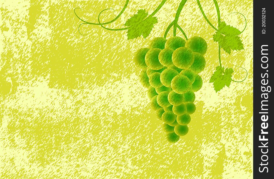 Grape On Green Background