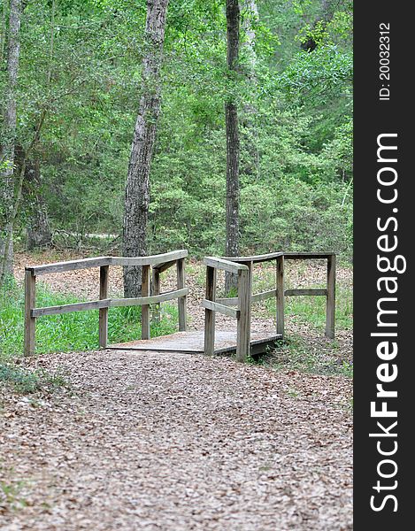 A wooden walkway in the middle of the forest. A wooden walkway in the middle of the forest