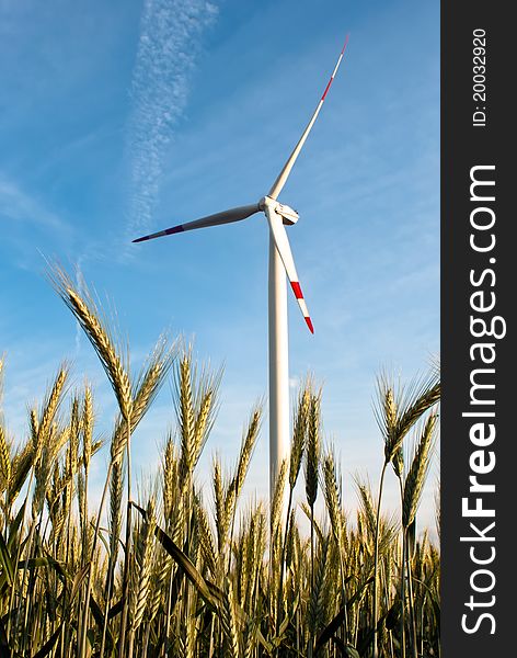 A wind turbine in the grain-field in front of blue sky. A wind turbine in the grain-field in front of blue sky