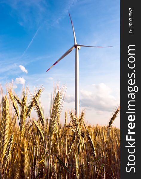 A wind turbine in the grain-field in front of blue sky. A wind turbine in the grain-field in front of blue sky