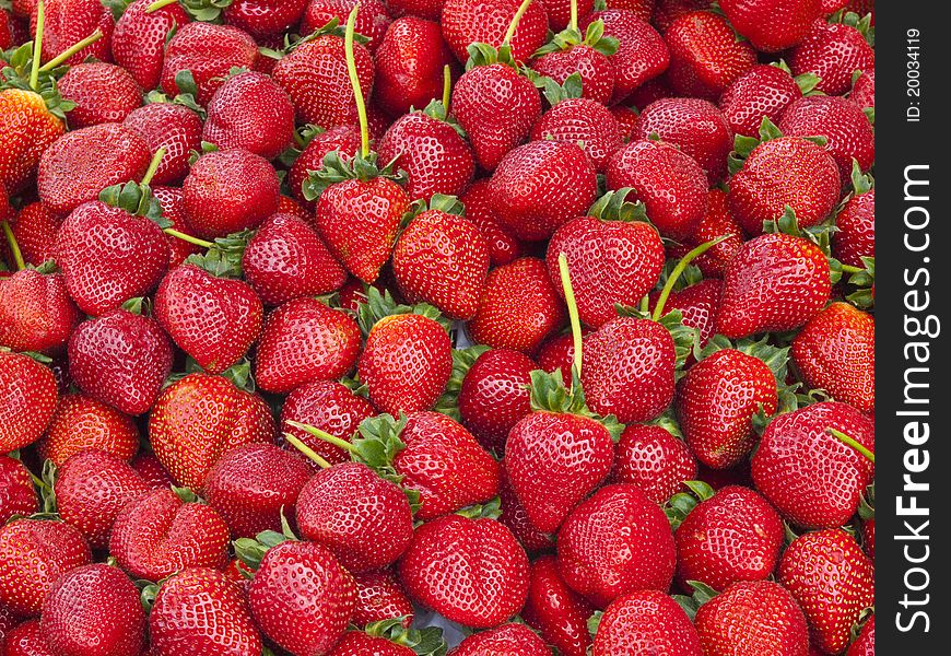 Large assortment of fresh strawberries with stems attached. Large assortment of fresh strawberries with stems attached
