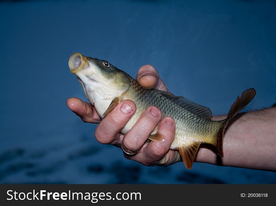 Catching fish with his hands in the hole.