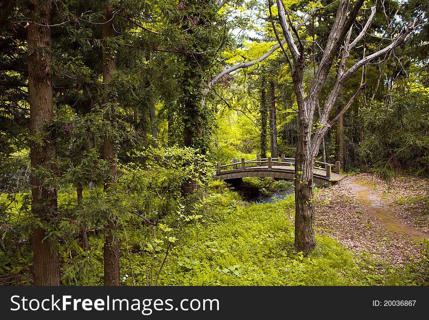 Picture of a bridge in the park of Namerikawa, Japan. Picture of a bridge in the park of Namerikawa, Japan