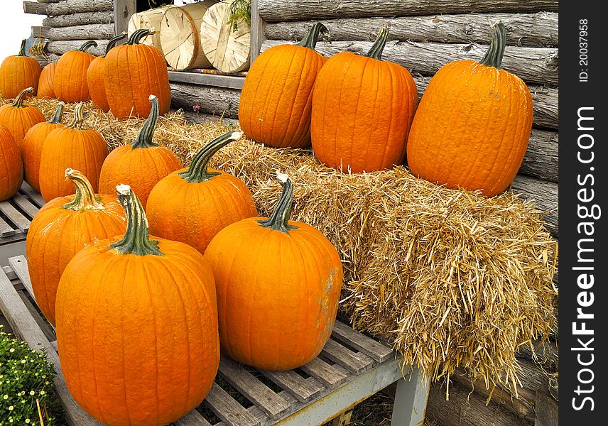 Pumpkins displayed on straw bales