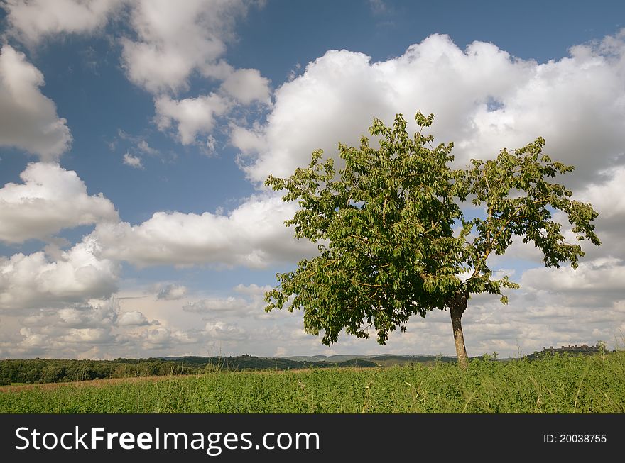 A country landscape in the tuscan country. A country landscape in the tuscan country