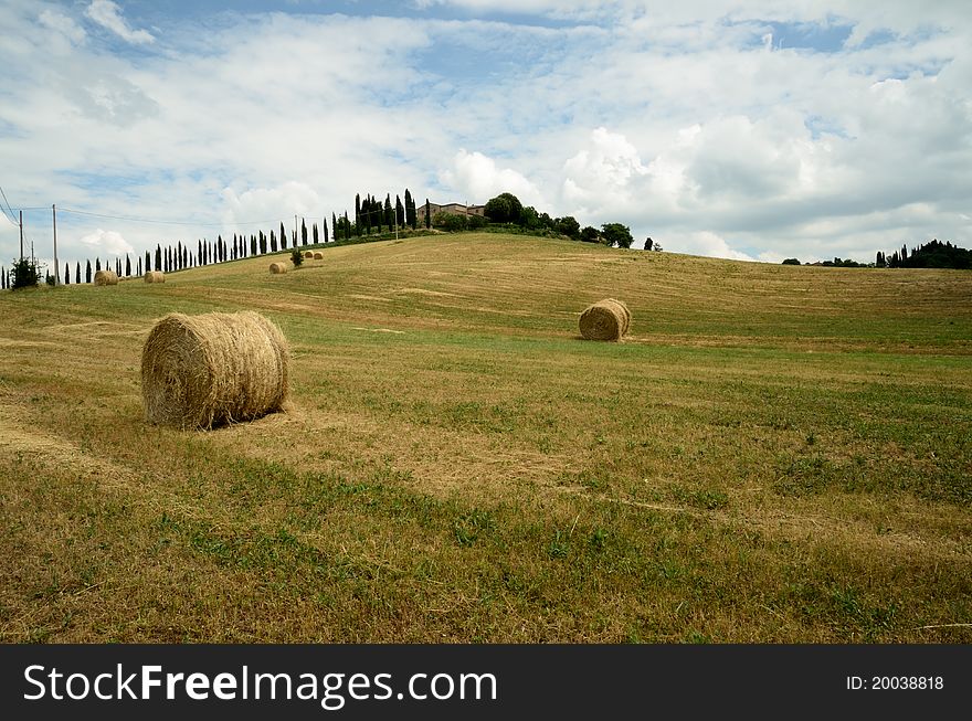 A country landscape in the tuscan country. A country landscape in the tuscan country