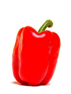 Single Red Paprika (pepper) Stock Photo